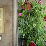 Trocadero-Tour Eiffel-Champs Elysees